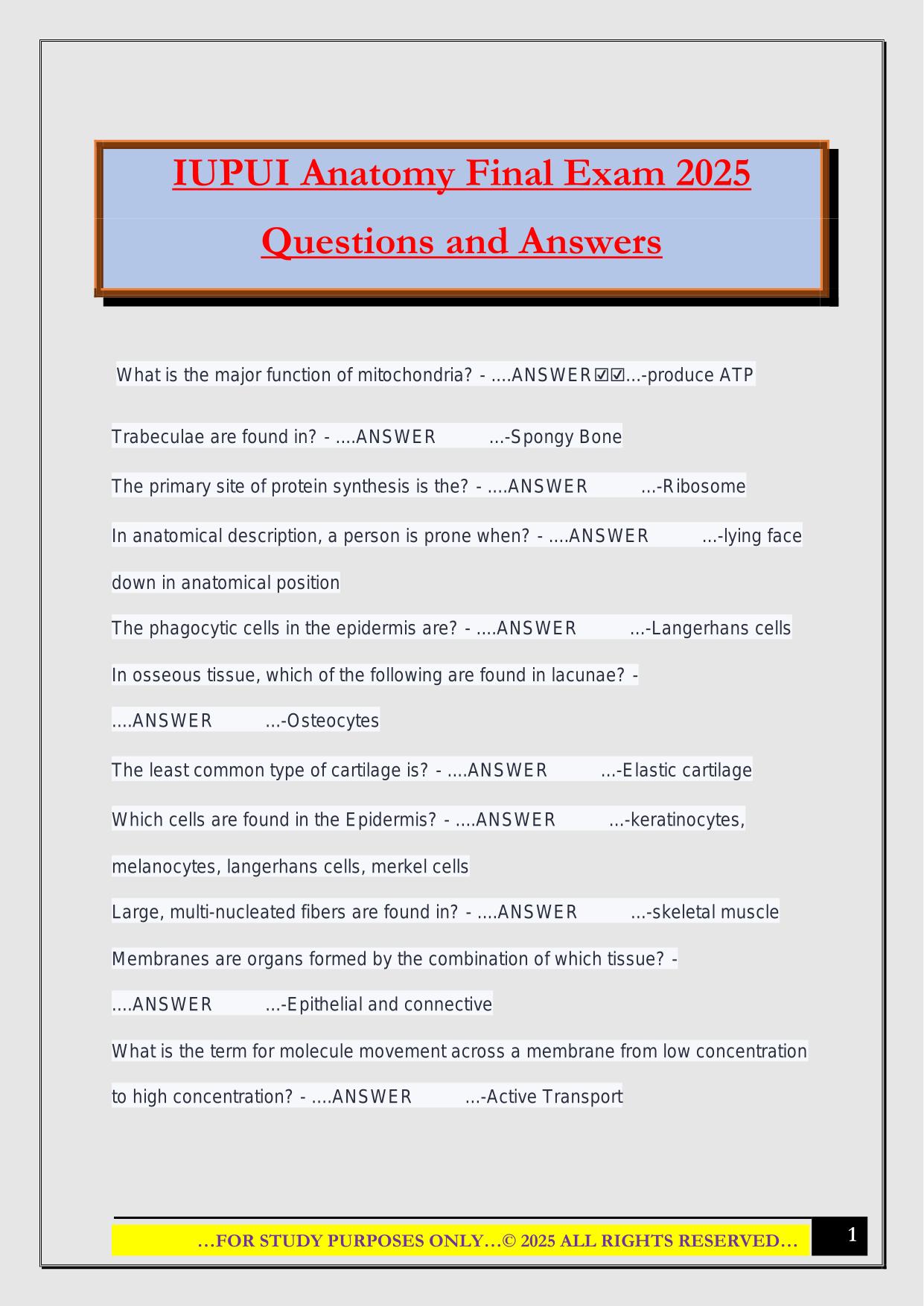 IUPUI Anatomy Final Exam 2025 Questions and Answers
