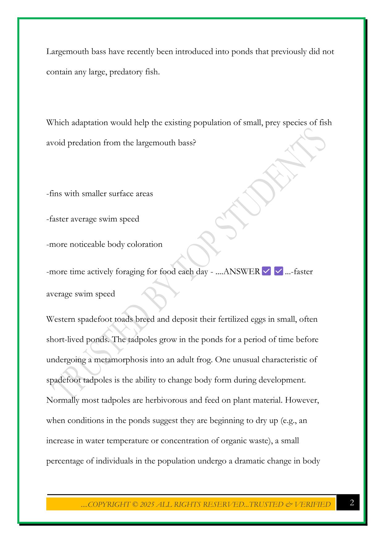 WGUC190 PRE-ASSESSMENT EXAM 2025 QUESTIONS AND ANSWERS